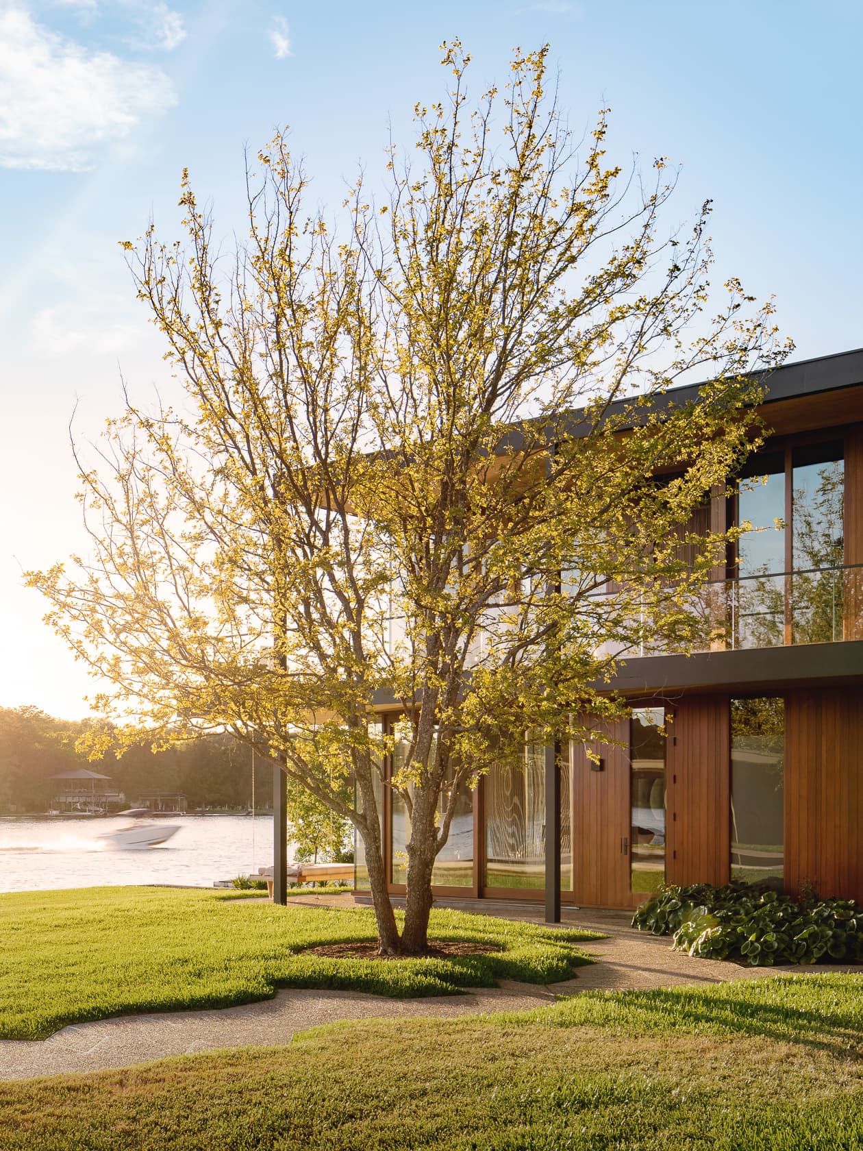Water's Edge Residence - Tree in Backyard; A Parallel Architecture